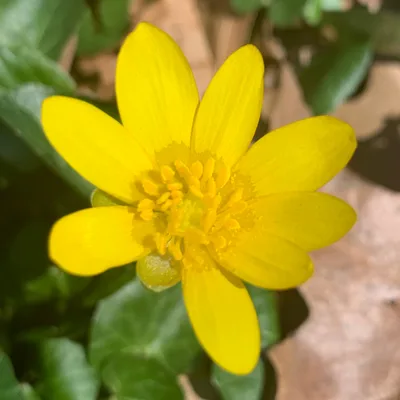 I am. You Are. We Are...