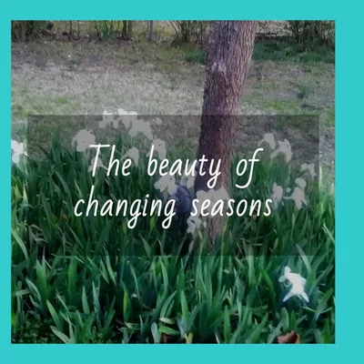 The beauty of changing seasons -- I'm in a never-ending bad cycle. What do I do?