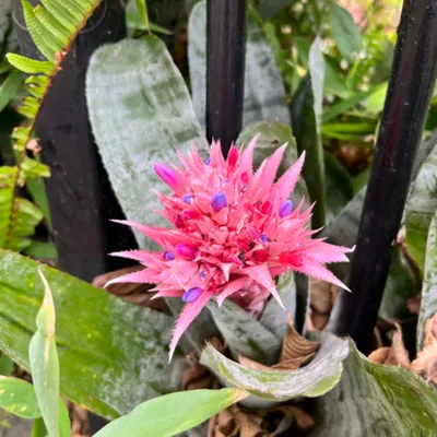 The lady’s finger laid on my crows feet