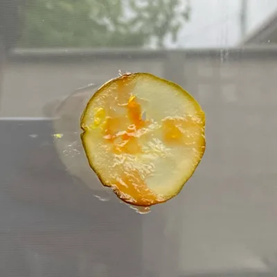 Was at Macca’s at 10:29 AM