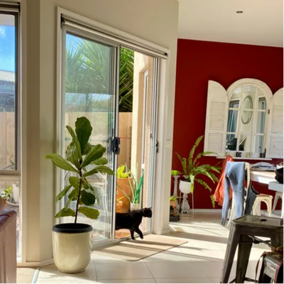 I got kicked in the head