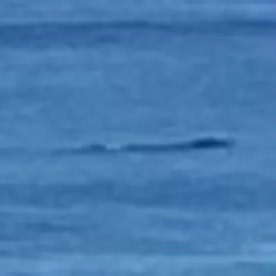 Saturday, 10 July 2021