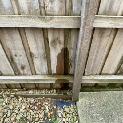 Tuesday, 22 June 2021