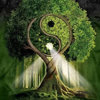 The World’s Religions: Taoism