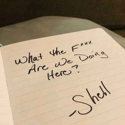 What the F*** Are We Even Doing Here