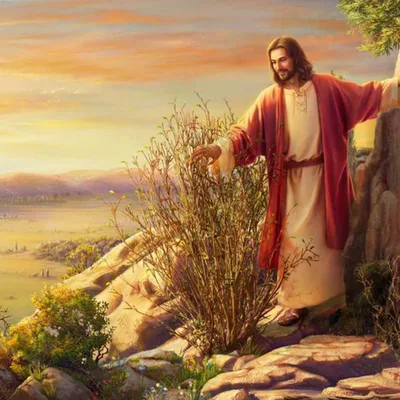 Introduction to Jesus's Healing Power