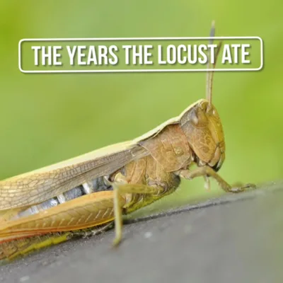 The Years The Locusts Ate