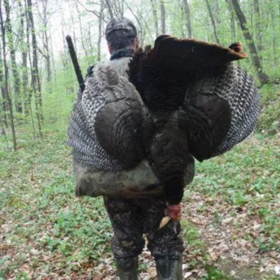 SoberNotMature - Episode 39 (Have A Plan - So You Don't Get Carried Away)