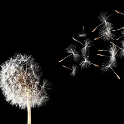 SoberNotMature - Episode 26 (Shooting Our Wad Into The Wind)