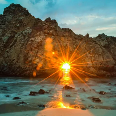 New Year Resilience 2018