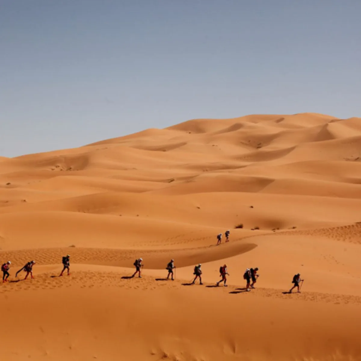 HWOM with JAMES QUIGLEY. JOURNEY TO ENDURANCE ATHLETE.