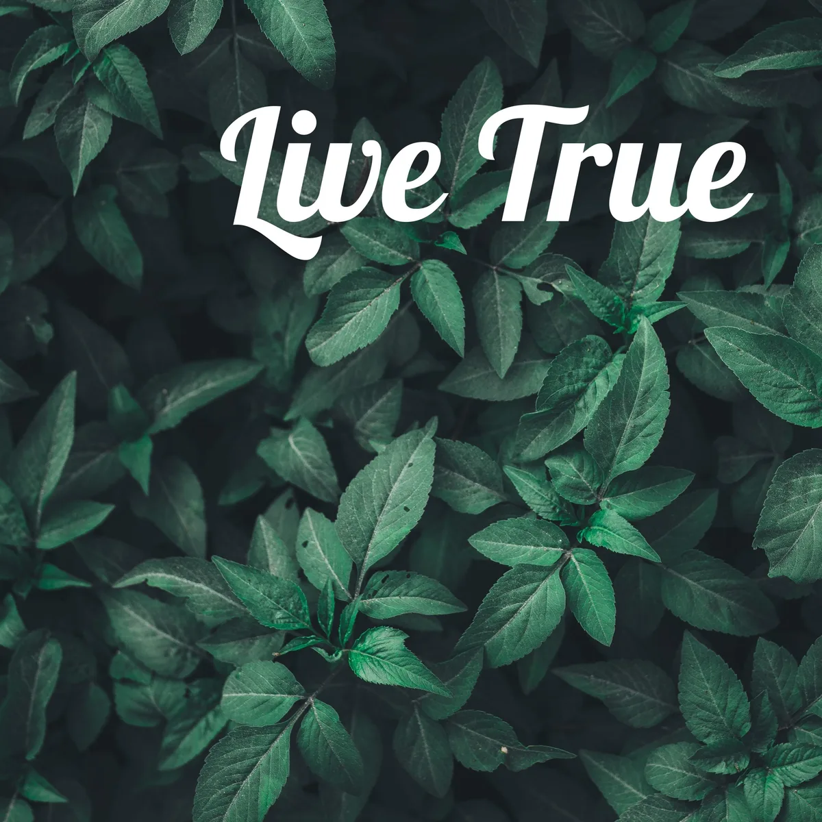 Get Un-stuck from Old Habits