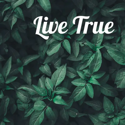 Healing and Living Through Growth