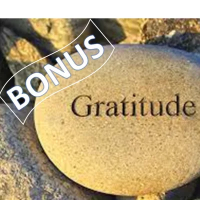 Bonus3: Gratitude