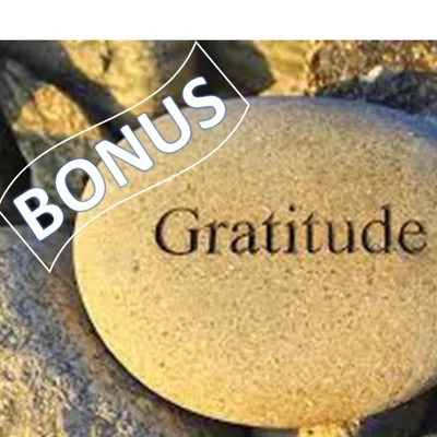 Bonus2: Gratitude