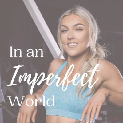 Introduction to 'In an Imperfect World'
