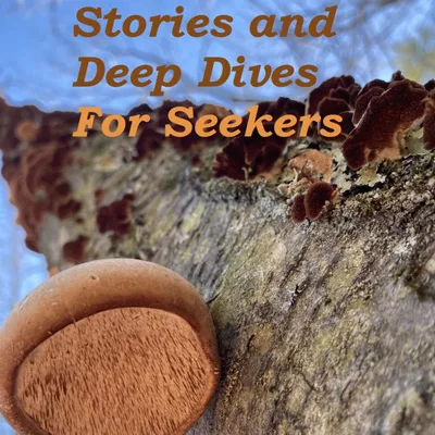 Moving Beyond Limiting Beliefs: Trust and Connection