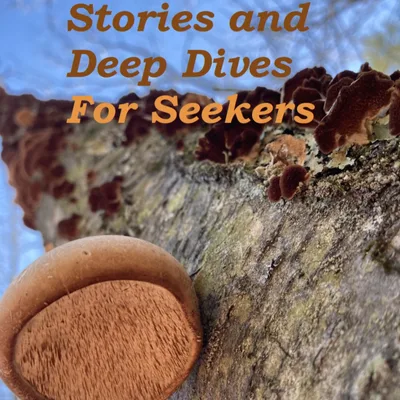 Examining Limiting Beliefs