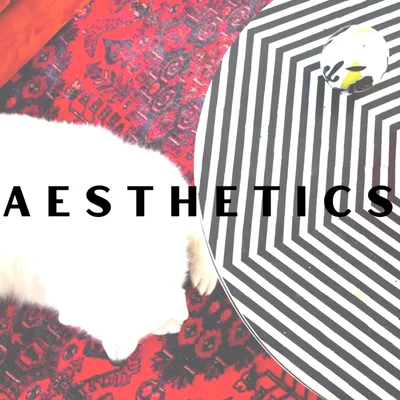 A E S T H E T I C S || loving the look of life