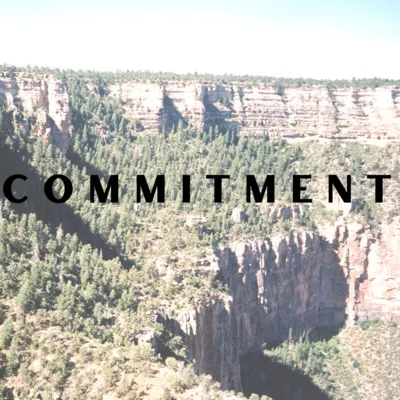 C O M M I T M E N T T O   Y O U || a wrap on month one