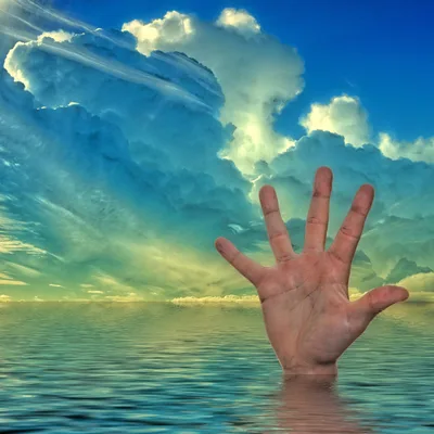 The Battle to Save an Addicted Loved One