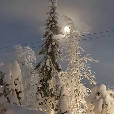 Just a little 'love'