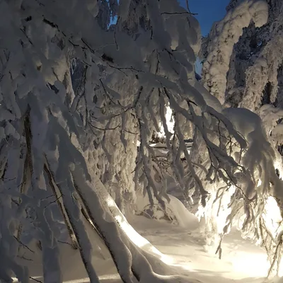 Week 3. Just a little 'know'