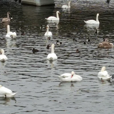 Week 1 Just a little 'no'.