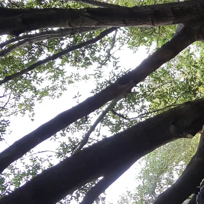 Confidence to be Addiction Free