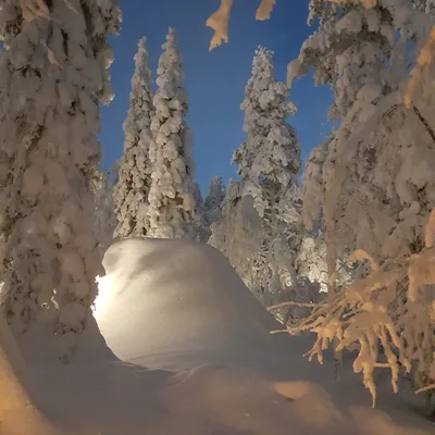 Permission to be Addiction Free