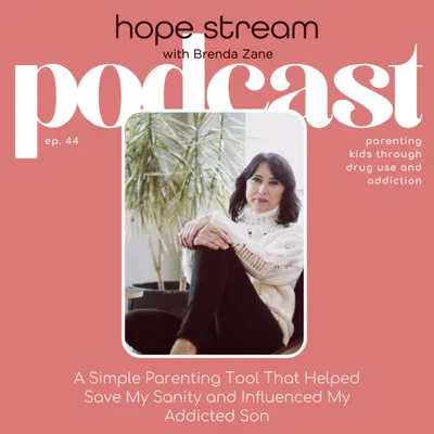 A Simple Parenting Tool That Helped Save My Sanity and Influenced My Addicted Son, with Brenda Zane