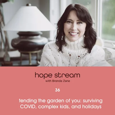 Tending to the Mothership: Surviving COVID, Kids, Substance Use, Addiction and Holidays with Brenda Zane