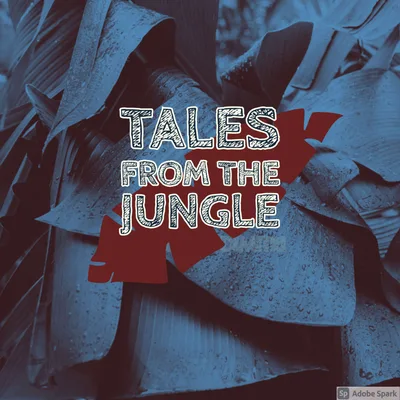 Introduction to Tales from the Jungle - Living with Addiction