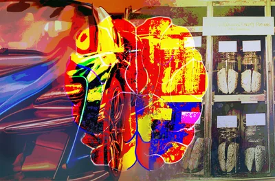 Brains old, new, and augmented