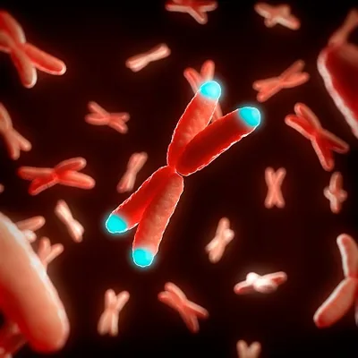 Telomeres, trauma, and mindfulness