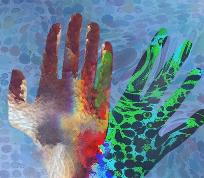 Getting in touch with our haptic sense