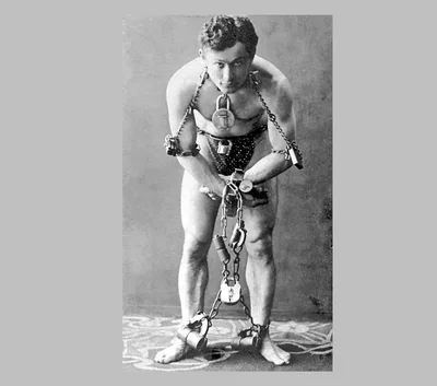 Why smart people do stupid things