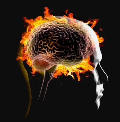 The mystery of the inflamed brain