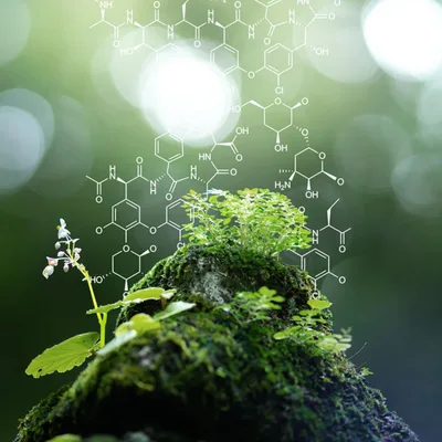 Zero dB: a truly new breakthrough for anxiety?