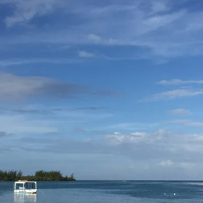 Relationships During Covid