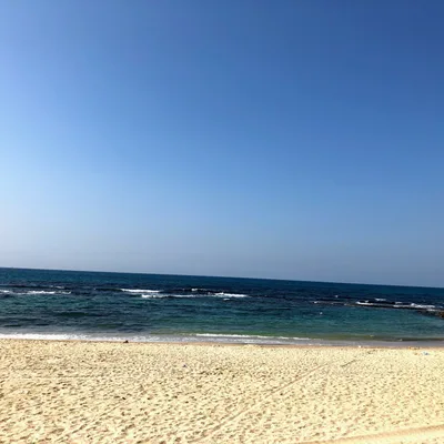 Inconvenient Not Tragic