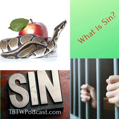 007 - What is Sin?