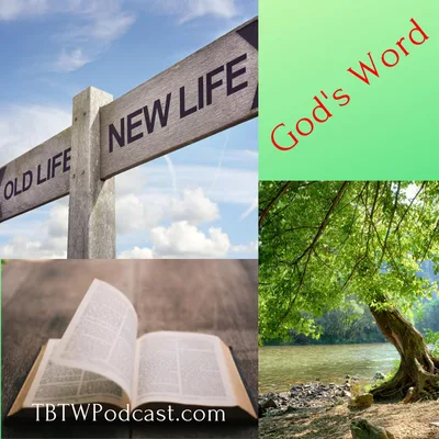 002 - What does God say about His Word?