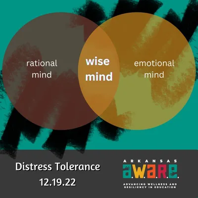 Distress Tolerance