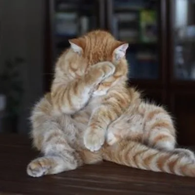 How to Heal Your Shame