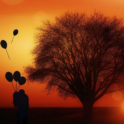 Allowing and Trusting Your Feelings