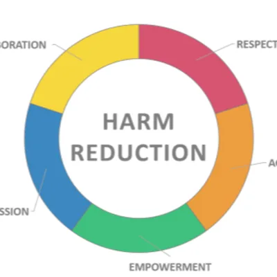 How the addiction concept drives us crazy | Part II: Harm reduction as Reductionism
