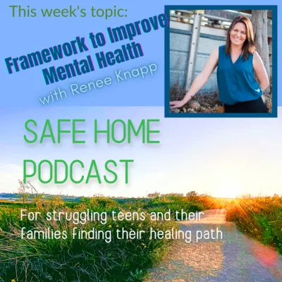 Framework to Improve Mental Health with Renee Knapp - Ep 58