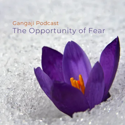 Being Yourself | The Opportunity of Fear