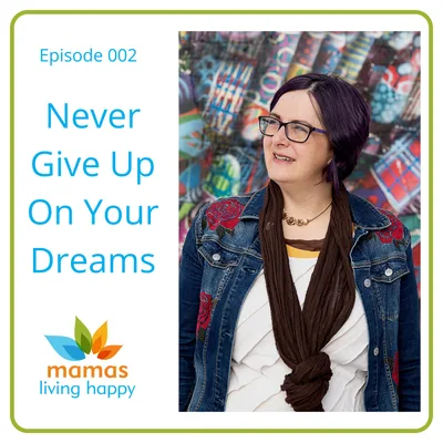 002 Never Give Up On Your Dreams